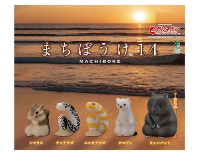 Machibouke 14 Komplettsatz 5 Kapseln Gashapon Spielzeug