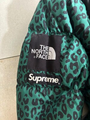 SUPREME THE NORTH FACE 11aw Nuptse Down Jacket Leopard Rare Size L