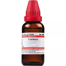 Dr Willmar Schwabe India Cantharis Dilution A...