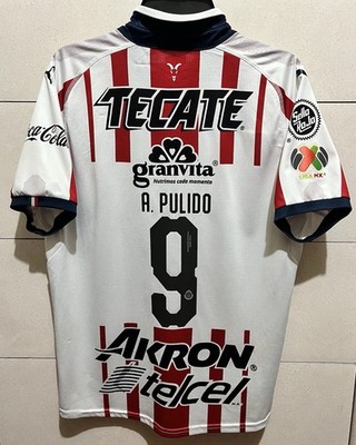 Chivas de Guadalajara Puma Jersey 2018 - 2019 Version Jugador DryCell / Liga MX