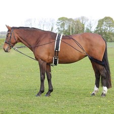 HY Horse Equestrian Lunging System for Muscle Development and Balance
