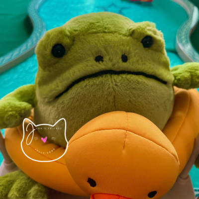 AUTHENTIC Jellycat RICKY RAIN FROG RUBBER RING New BNWT RARE Soft