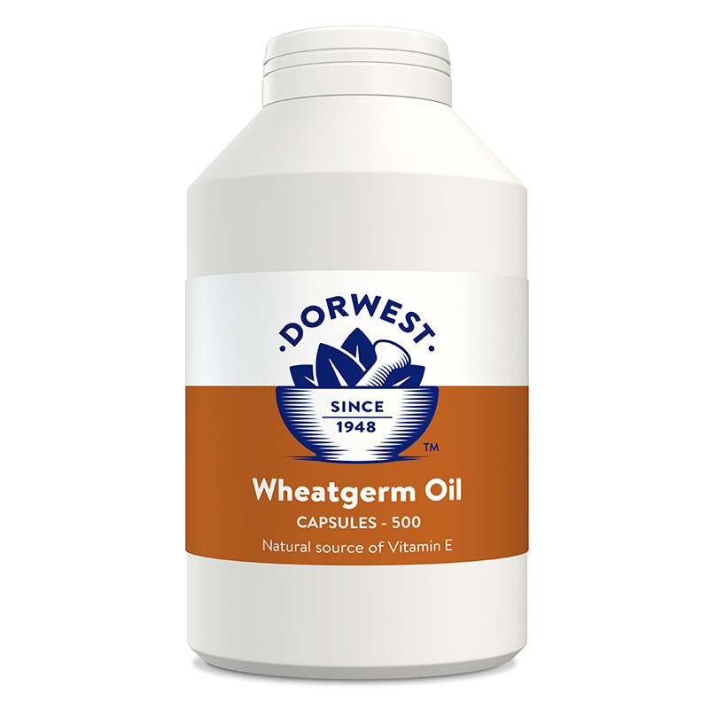 Dorwest Herbs Wheatgerm Oil Capsules for Dogs and Cats 500 Capsules - Image 2