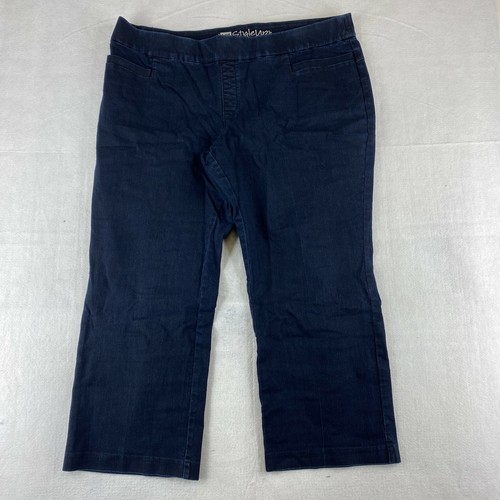 Petite 22WP Blue High Rise 
