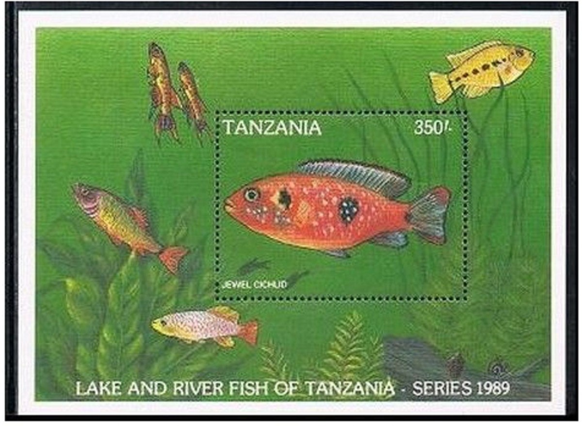 Tanzania 534,MNH.Michel 613 Bl.102. Lake and river fish,1989.Jewel