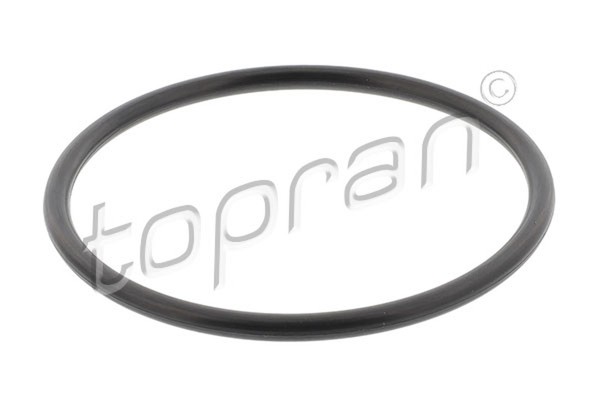 Topran Dichtung Wasserpumpe 100 571 FüR Jetta Seat Golf 80 86 Ibiza VW Audi 19E-image