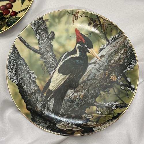 Bradex 1990 Portraits of Exquisite Birds by Carl Brenders W.S. George Plates 2-6 - Picture 4 of 12