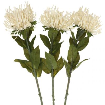 Nadelkissen Kunstblumen Exoten Leucospermum Protea Creme 73cm 3er-Set