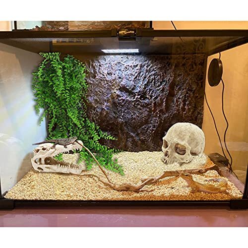 cheap snake accessories