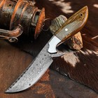 8.9" inch Damascus Steel Hunting Knife Full Tang Resin Handle Leather Sheath — photo 2