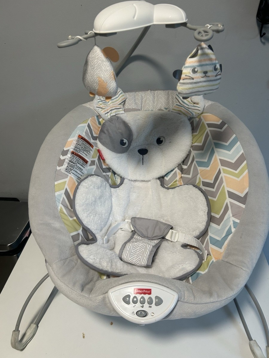Snugapuppy Dreams Fisher Price Snug A Puppy Bouncer Sweet