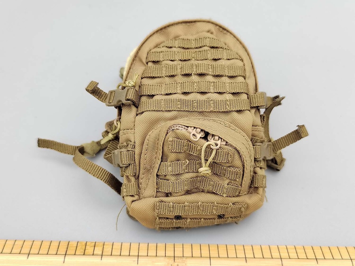 DAMTOYS DAM 78006 1/6 Scale MARSOC Special Ops Team Leader