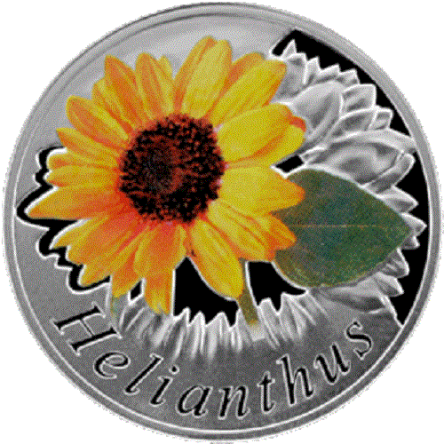 Belarus 2013, THE SUNFLOWER (HELIANTHUS). Beauty of Flowers, Silver, Coloured - Picture 2 of 3