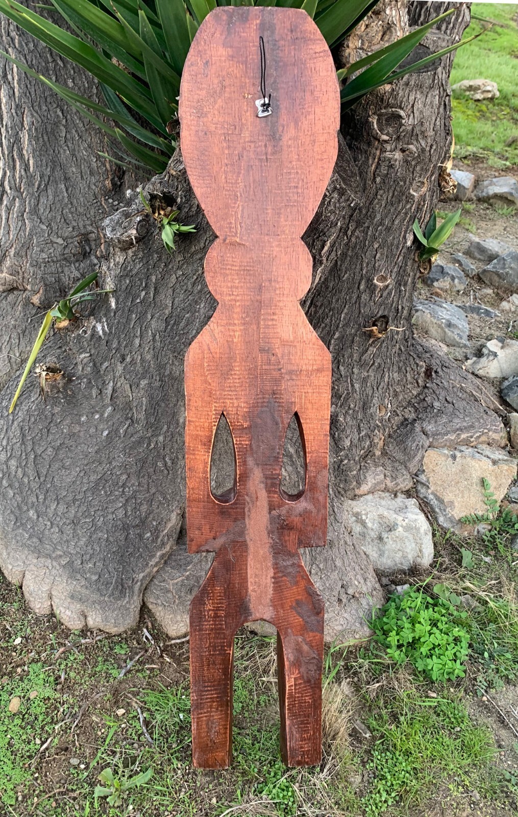 Picture 6 of 6