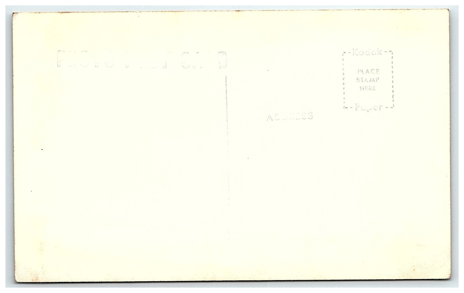 1950s Pinewood Shores Postcard Rppc Real Photo Traverse City MI Spider