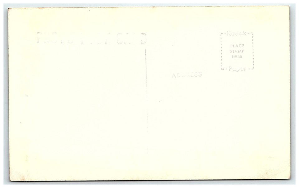 1950s Pinewood Shores Postcard Rppc Real Photo Traverse City MI Spider