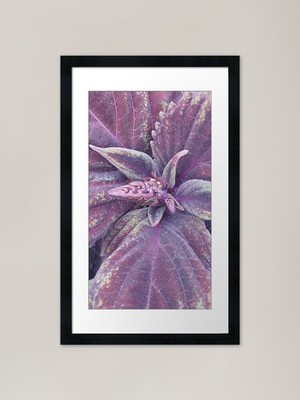 Ruby Fall Framed Art Print Framed Wall Art Poster Canvas Print Picture