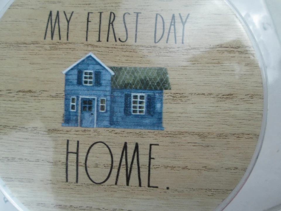 Discos de 10 piezas Rae Dunn Baby Mi primer día en casa y vacaciones Foto 3 de 4