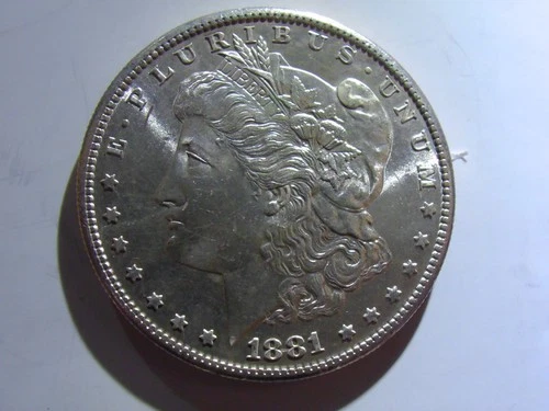 5 unc morgan dollars, white w mix dates n mm's