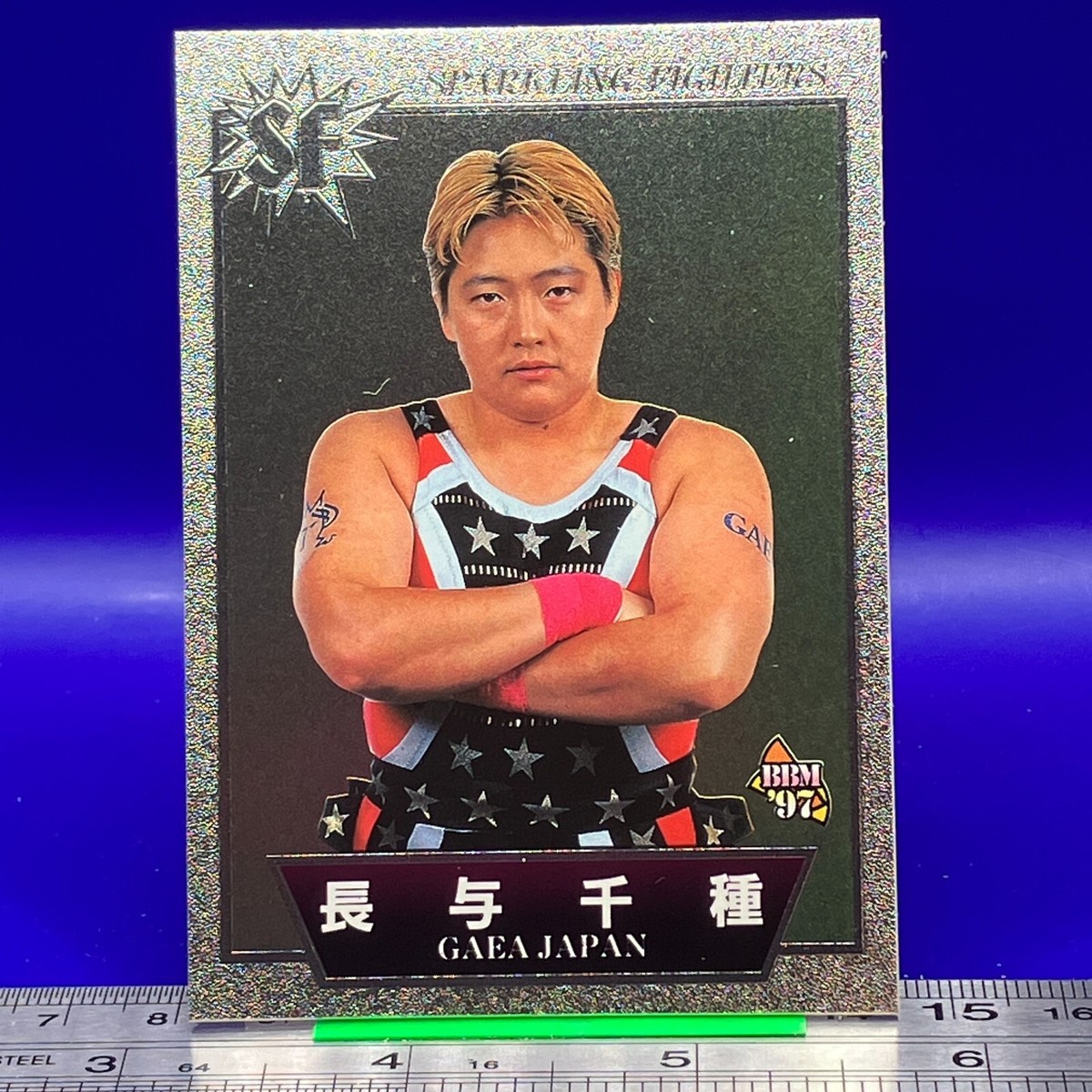 ECWプロレスカード ピットブルズ　BBM ECW Wrestling Card Pit Bulls BBM, Pro Wrestling, Muscle