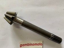 PIGNONE COPPIA CONICA MOTOZAPPA MECCANICA BENASSI RL304 DENTI PIGNONE 7