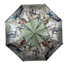 Soake StormKing Degas Ballet Class Art Large Classic Walk Stick Umbrella Brolley