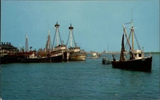Cape May New Jersey ~ Cold Spring Harbor ~ fishing fleet boats ~ unused postcard