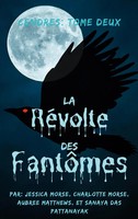 Cendres Tome 2 La RéVolte Des FantôMes Jessica Morse (U. A.) Taschenbuch 2024