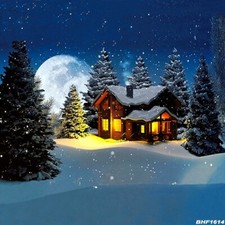 10'x10' Computer-painted CP Winter Season Scenic background backdrop BHF1614