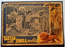 Fotobusta TARZAN UND DER