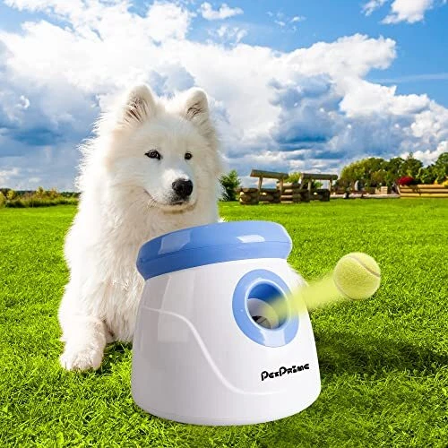Dog and automatic ball thrower deals