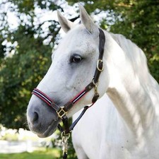 Halfter Bellano Leder