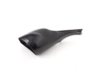 Carbon glanz Lufteinlass / Hutze / airintake - links - für Buell XB9 XB12 EBR