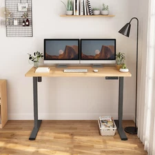 FLEXISPOT 55" Standing Desk Height Adjustable Desk Ergonomic Memory Controller 