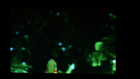 Video 1 von 1
