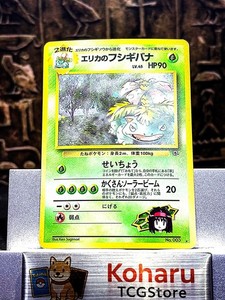 Erika's Venusaur | eBay