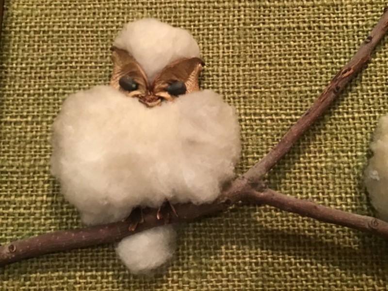 OWLS! VERY RARE  Framed Katherine Gladden 1976 OWLS made of COTTON BOLLS, UNIQUE