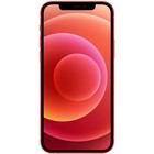 Foto 4 di 4