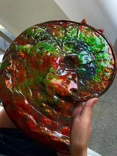 4.95LB Natural Canada Crystals Ammolite Fossil Quartz Crystals Rough healing Gem - Picture 4 of 8