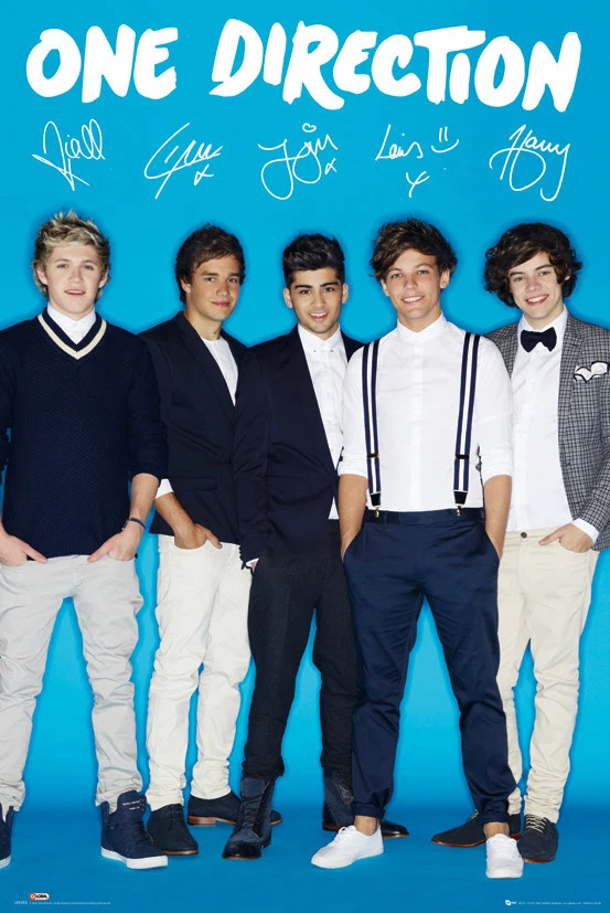 One Direction Signature Poster Harry Liam Niall Zayn Louis Music Maxi New  LP1554 | eBay
