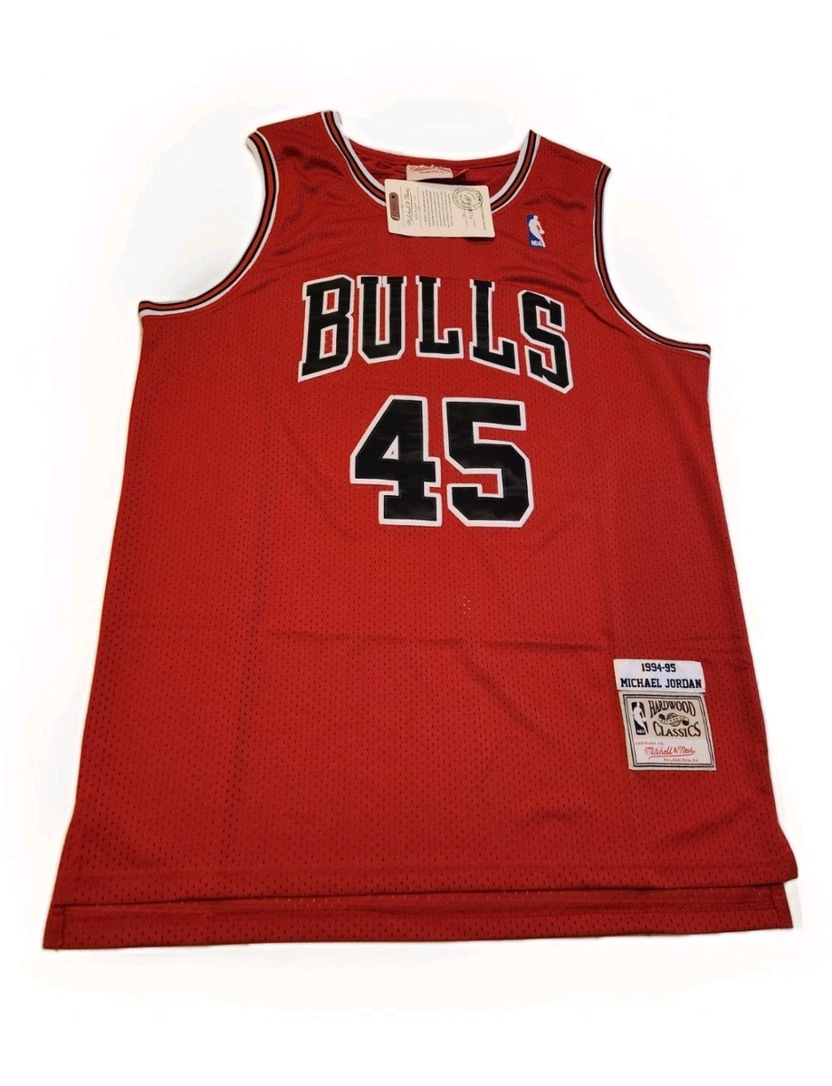 マイケル・ジョーダン シカゴブルズ　ミッチェル＆ネス jersey L Bboy Mitchell & Ness 🔥 Michael Jordan 🔥 #45 Bulls 1994-95 Comeback