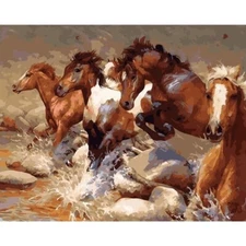 Paint By Numbers Adults kids Running Horses DIY Painting Kit 40x50CM Canvas