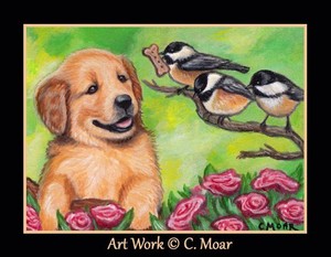 golden retriever bird