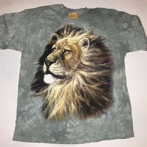 cat solo shirt