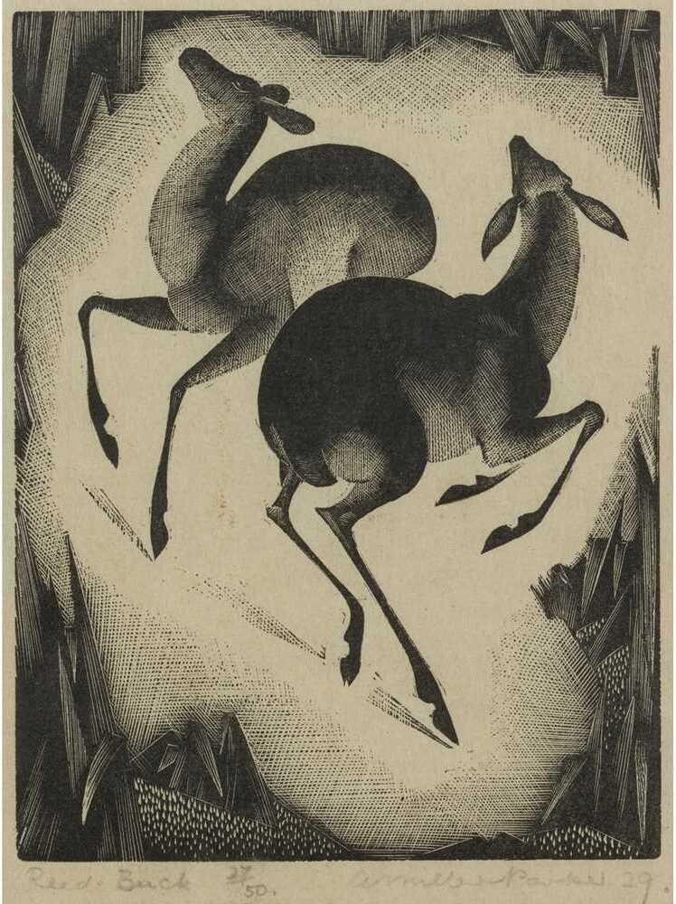2000年発行美品Richard Bilinghamアート新聞 Agnès b. Bucks Print : Agnes Miller Parker 1929 Wood Engraving : Modernist