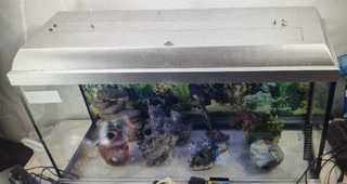 Elite Style Fish Tank Silver Medium 60cm/30cm.