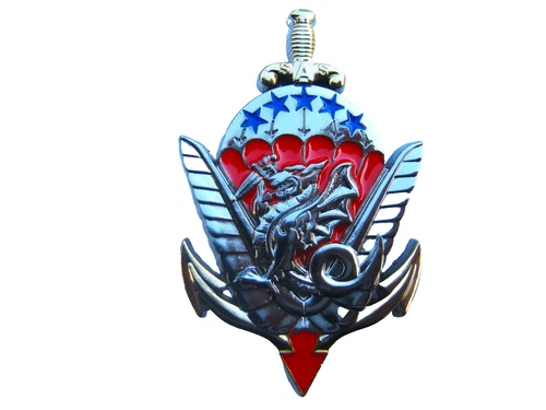 PARATROOPERS COMMANDO 8° RPIMa LES GCP CHUTEURS OPS CRAP