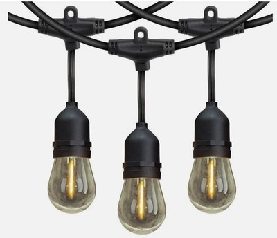 Feit Electric 48' LED Filament String Light Set