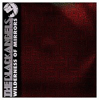 Black Angels - Wilderness Of Mirrors - Vinyl Record 12 Record - G3Z