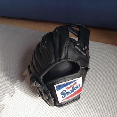 ルッツ Norichika Aoki autographed glove zett Yakult Swallows Japan